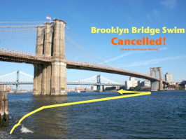 Brooklyn Bridge Swim Path