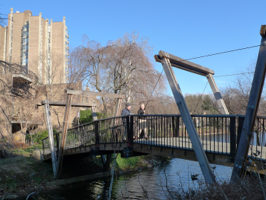 Lake Anne Bridge