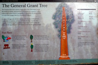 Kings Canyon General Grant