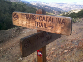 Trans-Catalina Trail Trans-Catalina Trail