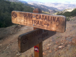 Trans-Catalina Trail