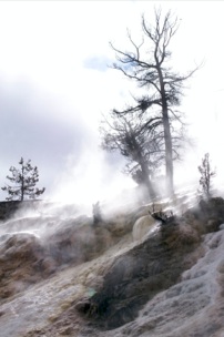 Yellowstone Road Construction