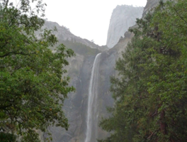Yosemite Rain