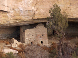 Condo City of Mesa Verde Condo City of Mesa Verde