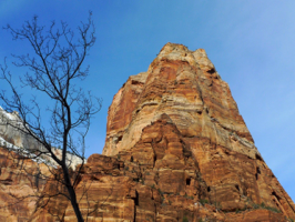 Zion Canyon