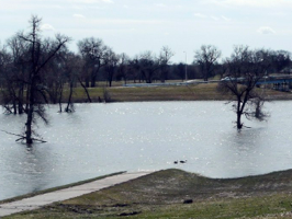 100-year Flood