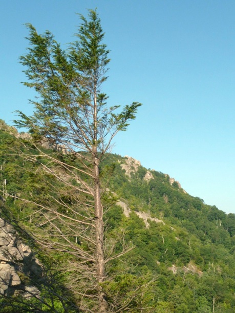 Early Morning Old Rag