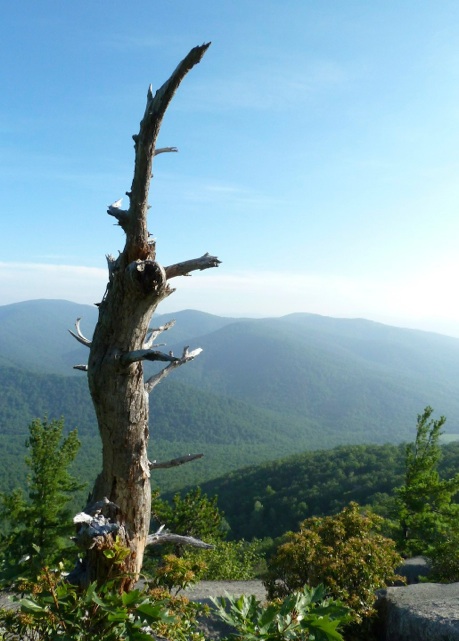 Early Morning Old Rag