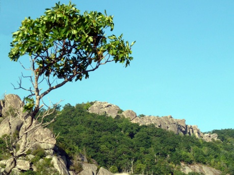 Early Morning Old Rag