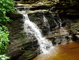 Ricketts Glen Falls