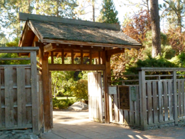 Japanese Garden in Manito Park