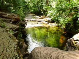 Ricketts Glen