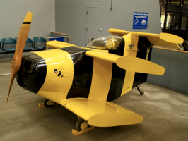 Bumble Bee Plane