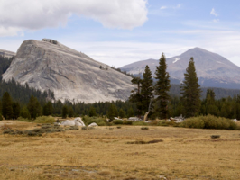 Tuolumne Meadows