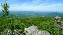 Appalachian Trail - Compton Gap to Hogback