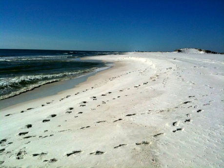 Gulf Coast National Seashore