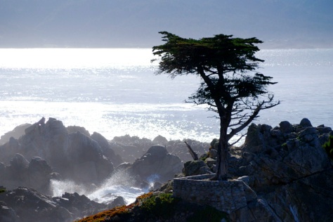 California’s Glorious Middle Coast
