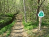 Appalachian Trail