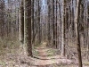 Appalachian Trail