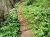 Appalachian Trail