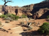 canyonlands-2