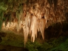 carlsbad-caverns-11