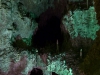carlsbad-caverns-14