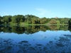Central Park 