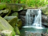 Central Park 