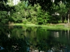Central Park 