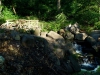 Central Park 