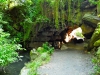 Central Park 