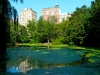 Central Park 