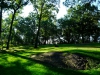 Central Park 