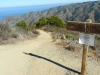 trans-catalina-trail-18